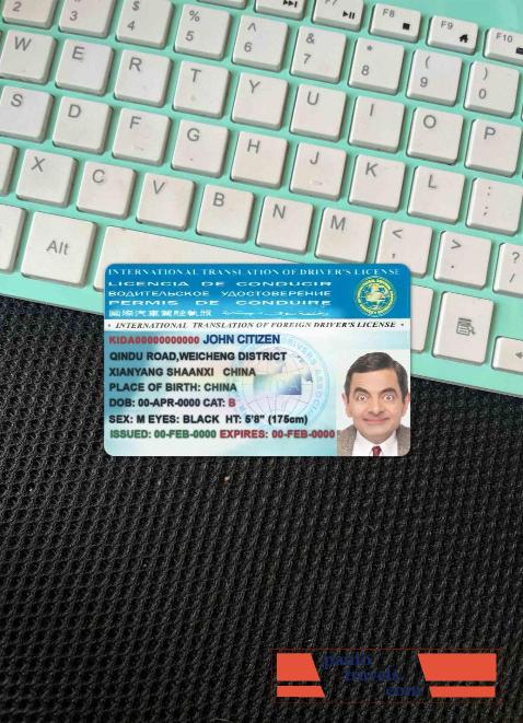 International Translation of drivers license photolook FRONT PSD template